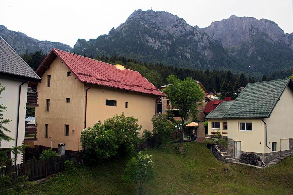 Apartament Mountain Life บุชเตนี ภายนอก รูปภาพ