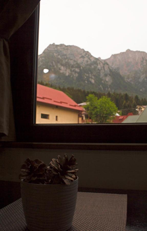 Apartament Mountain Life บุชเตนี ภายนอก รูปภาพ