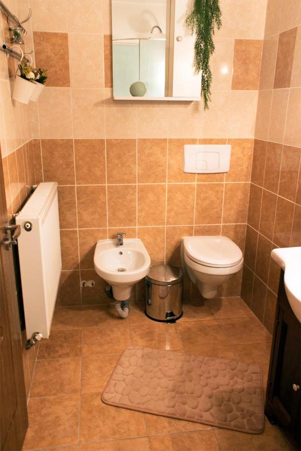 Apartament Mountain Life บุชเตนี ภายนอก รูปภาพ